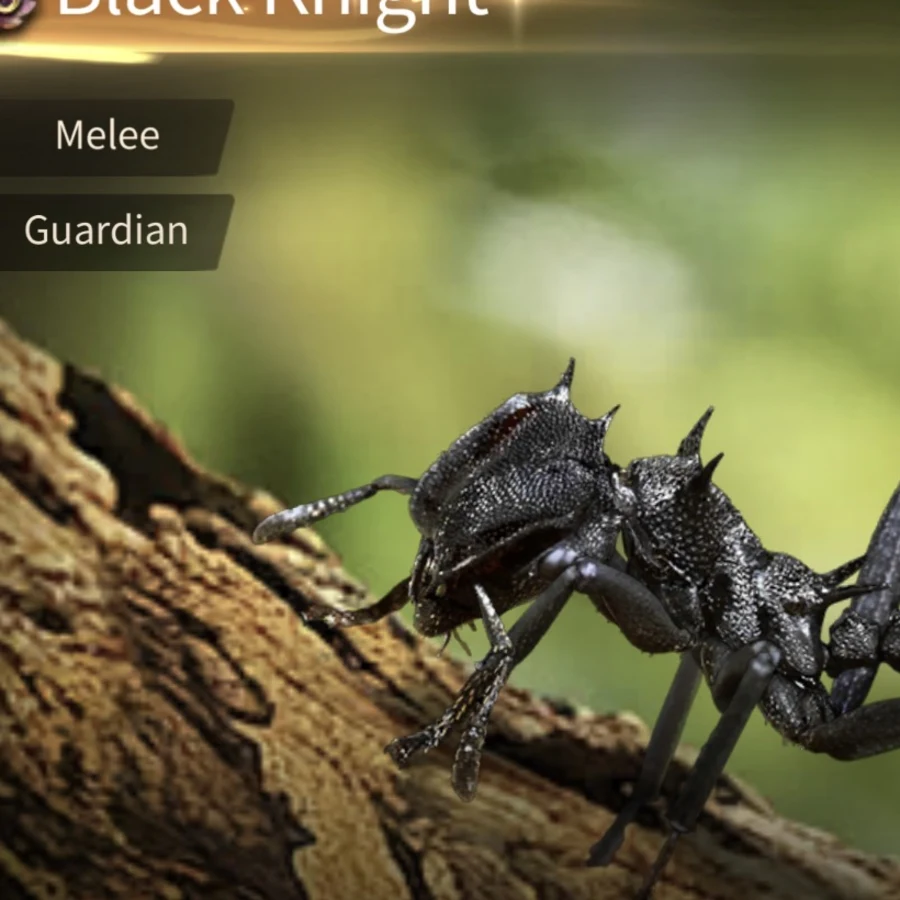 Black Knight verified in-game profile image